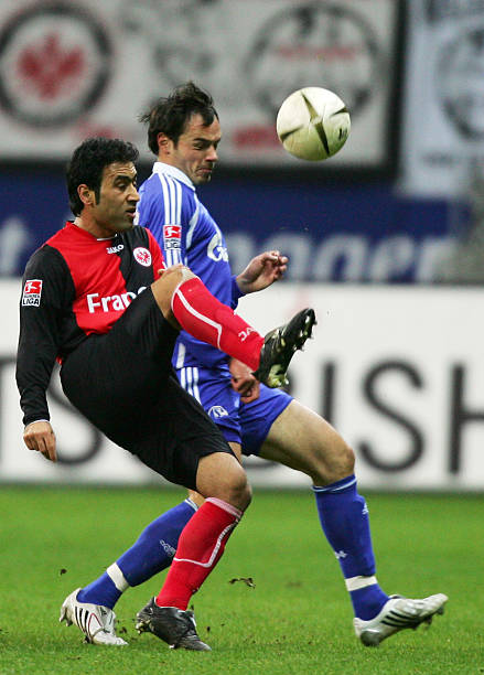 他们需要在 他们需要在